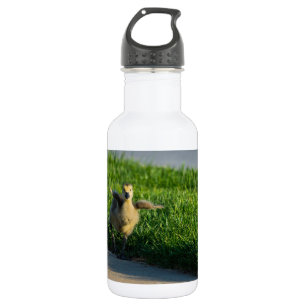 Ik kom, papa waterfles