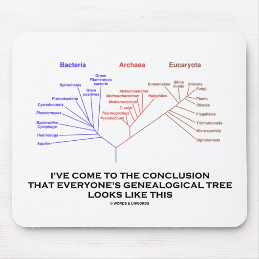 Ik kom tot de conclusie van de genealogische boom muismat (Voorkant)