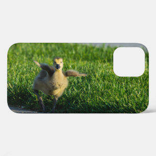 Ik kom voor papa iPhone Case