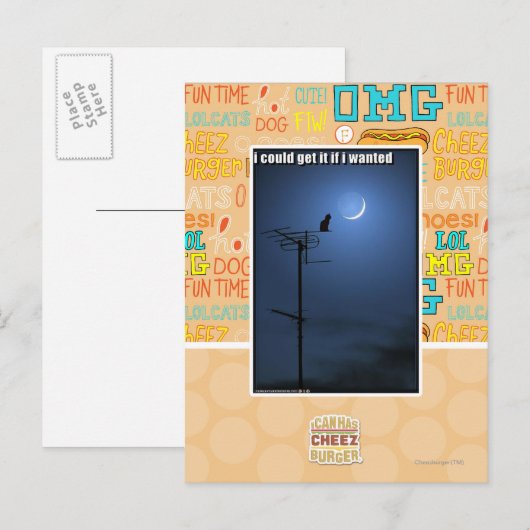 Ik kon het krijgen als ik wilde briefkaart (Voorkant / Achterkant)