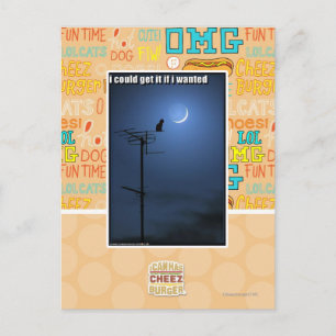 Ik kon het krijgen als ik wilde briefkaart