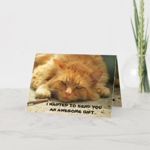 Ik kon mezelf niet sturen, grappig Kat Kaart