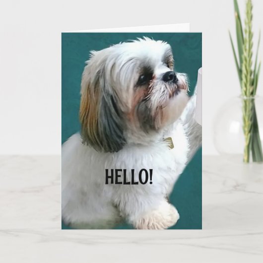 IK KON NIET WACHTEN OM TE ZEGGEN: "FIJNE VERJAARDA KAART (Voorkant)