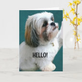 IK KON NIET WACHTEN OM TE ZEGGEN: "FIJNE VERJAARDA KAART (Gele Bloem)