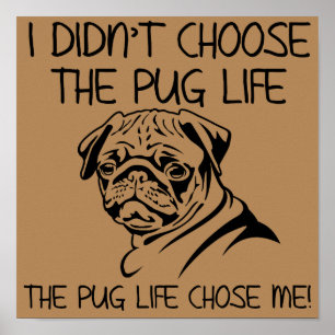 Ik koos niet voor het Pug Life Funny Poster Sign