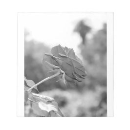 Ik koos voor het Roos Notitieblok