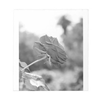 Ik koos voor het Roos Notitieblok