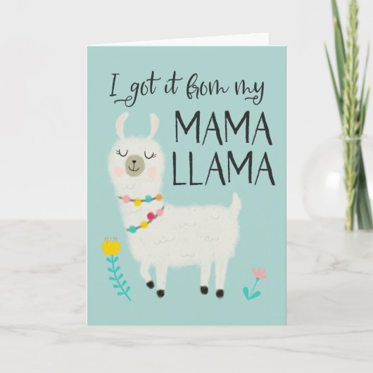 Ik kreeg het van mijn Mama Lama Moederdag Feestdagen Kaart (Voorkant)