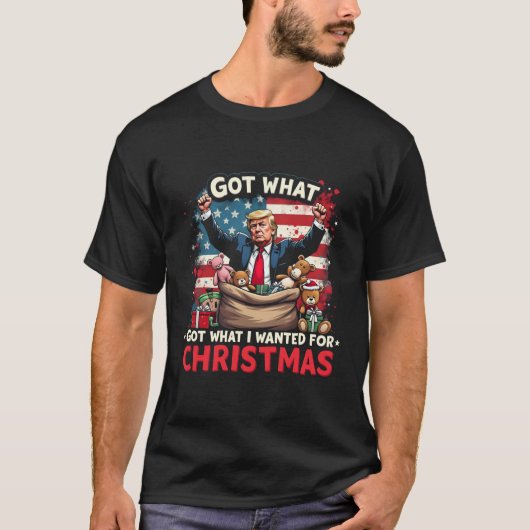 Ik kreeg wat ik wilde voor Kerstmis Trump Santa T-shirt (Voorkant)