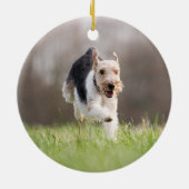 Ik kruiste over de regenboogbrug Memorial Pet Keramisch Ornament (Achterkant)