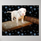 Ik leer hoe ik de Bijbel moet lezen Poster (Voorkant)