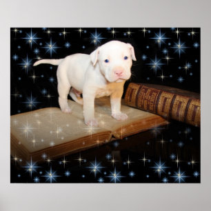 Ik leer hoe ik de Bijbel moet lezen Poster