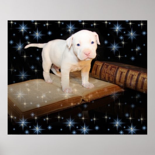 Ik leer hoe ik de Bijbel moet lezen Poster (Voorkant)