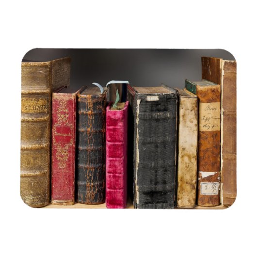 Ik lees graag Antiek boeken Magneet (Horizontaal)