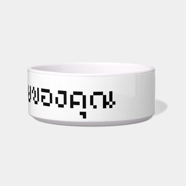 Ik lees het script voor je e-mail / Thai Language Voerbakje (Rechts)