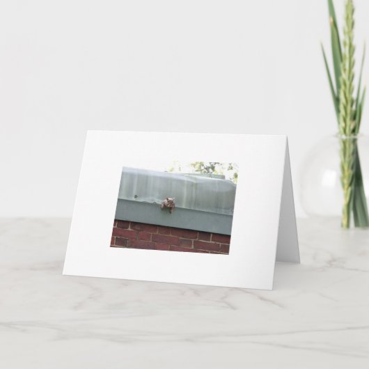 ik let op u kaart (Voorkant)