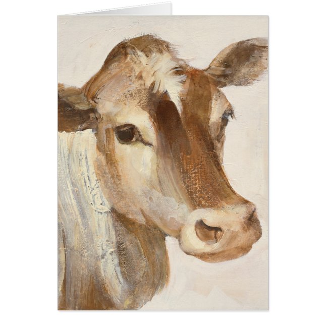 Ik licht je in (Voorkant)