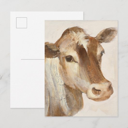 Ik licht je in briefkaart (Voorkant / Achterkant)