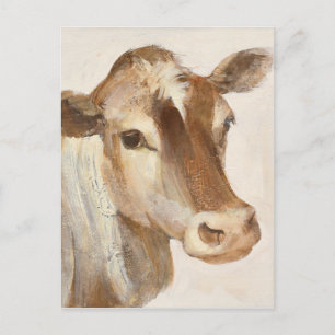 Ik licht je in briefkaart