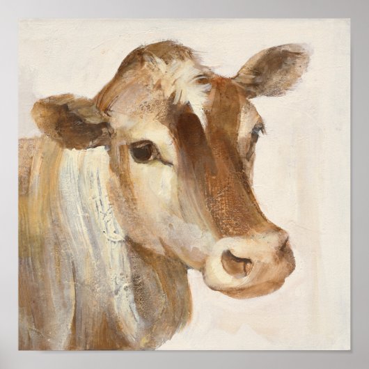 Ik licht je in poster (Voorkant)