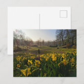 Ik liep eenzaam als wolk door William Wordsworth Briefkaart (Voorkant / Achterkant)