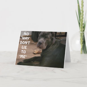 IK LIET ME NIET DAT JE NIET 30 KUNT ZIJN!!! KAART