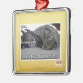 Ik luister metalen ornament (Links)