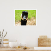 Ik luister naar je poster (Keuken)