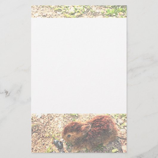 IK LUV BUNNIES! Cute Briefpapier (Voorkant)