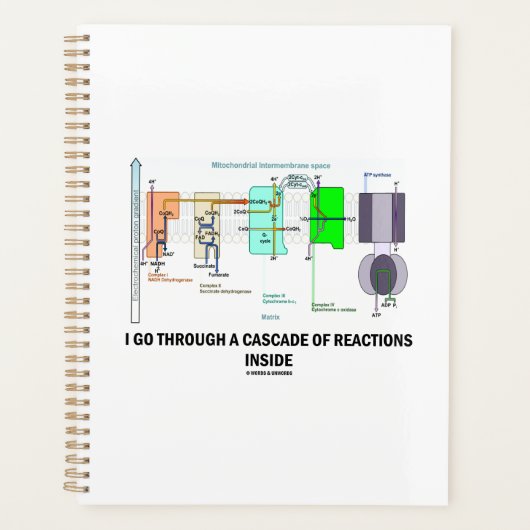 Ik maak een aaneenschakeling van reacties mee planner (Voorkant)