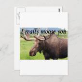 Ik maak je echt druk: Alaskan moose Briefkaart (Voorkant / Achterkant)
