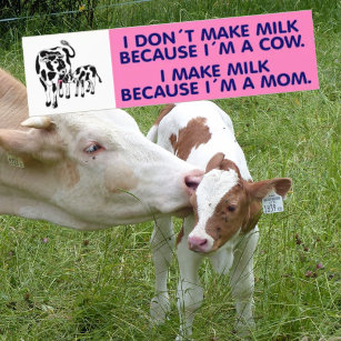 Ik maak melk omdat ik een Koe ben, Vegan Bumpersticker