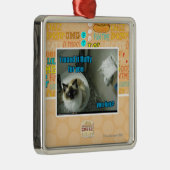 Ik maed het pluizig bont u metalen ornament (Rechts)