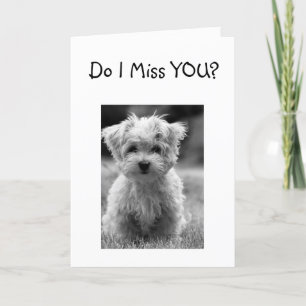 IK MIS DE KLEUR DIE MIJN LEVEN HEEFT ACHTERGELATEN KAART