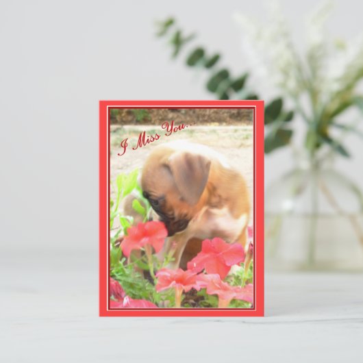 Ik mis je bokser briefkaart (Staand voorkant)