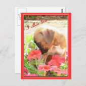 Ik mis je bokser briefkaart (Voorkant / Achterkant)