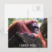 Ik mis je briefkaart (Voorkant / Achterkant)