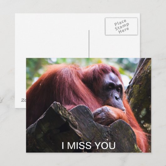 Ik mis je briefkaart (Voorkant / Achterkant)