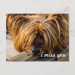 Ik mis je briefkaart