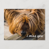 Ik mis je briefkaart (Voorkant)