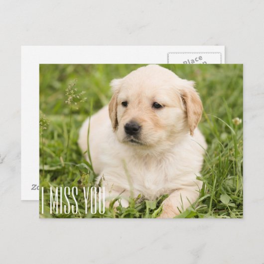 Ik mis je briefkaart (Voorkant / Achterkant)