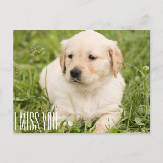 Ik mis je briefkaart (Voorkant)