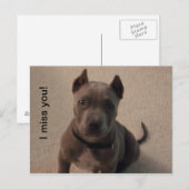 Ik mis je! briefkaart (Voorkant / Achterkant)