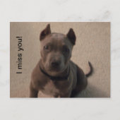 Ik mis je! briefkaart (Voorkant)