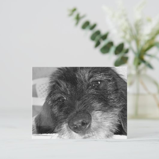 Ik mis je briefkaart (Staand voorkant)