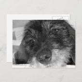 Ik mis je briefkaart (Voorkant / Achterkant)