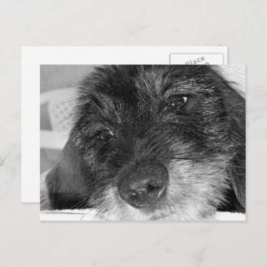 Ik mis je briefkaart (Voorkant / Achterkant)