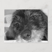 Ik mis je briefkaart (Voorkant)