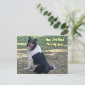 Ik mis je, Collie! Briefkaart (Staand voorkant)