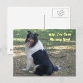 Ik mis je, Collie! Briefkaart (Voorkant / Achterkant)